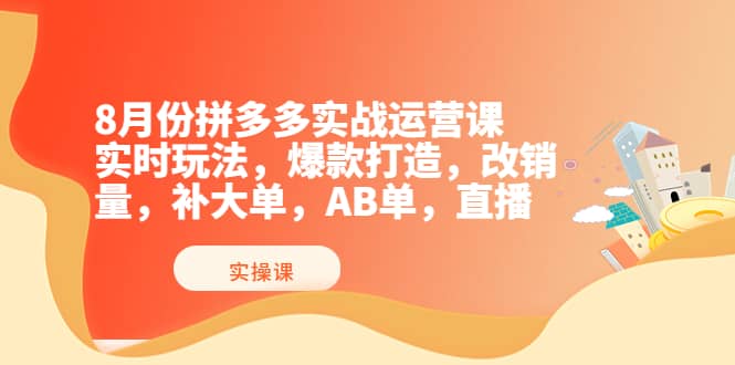 8月份拼多多实战运营课，实时玩法，爆款打造，改销量，补大单，AB单，直播-时光资源网