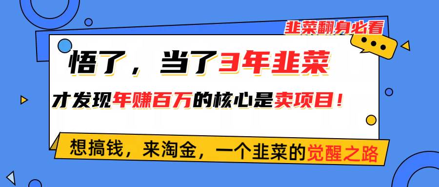 悟了，当了3年韭菜，才发现网赚圈年赚100万的核心是卖项目，含泪分享！-时光资源网