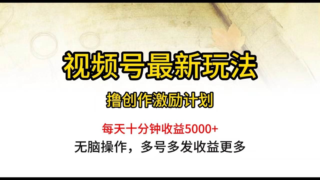 视频号最新玩法，每日一小时月入5000+-时光资源网