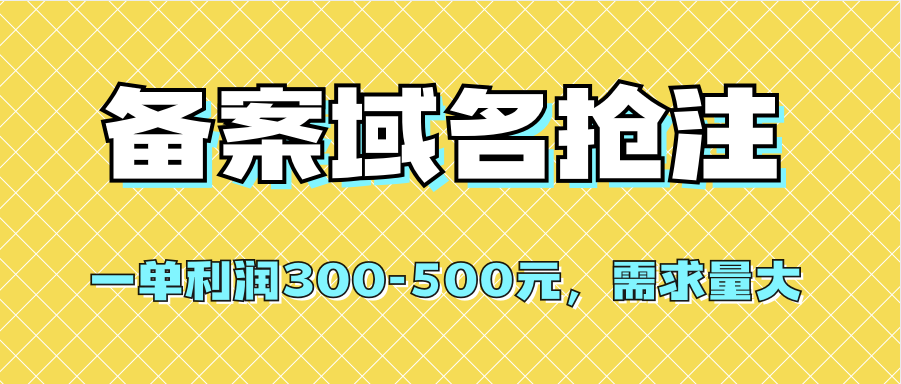 【全网首发】备案域名抢注，一单利润300-500元，需求量大-时光资源网