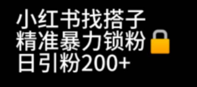 小红书找搭子暴力精准锁粉+引流日引200+精准粉-时光资源网