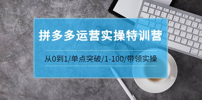拼多多运营实操特训营：从0到1/单点突破/1-100/带领实操 价值2980元-时光资源网