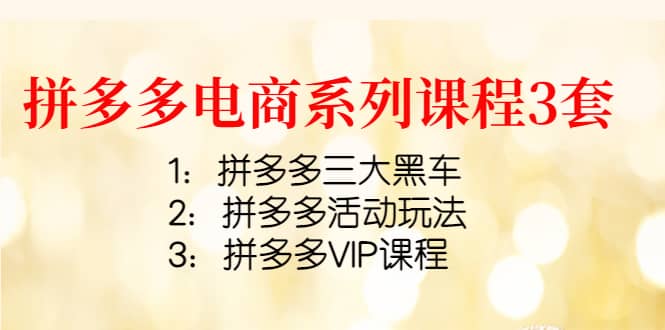 拼多多电商系列课程3套：拼多多三大黑车+拼多多活动玩法+拼多多VIP课程-时光资源网