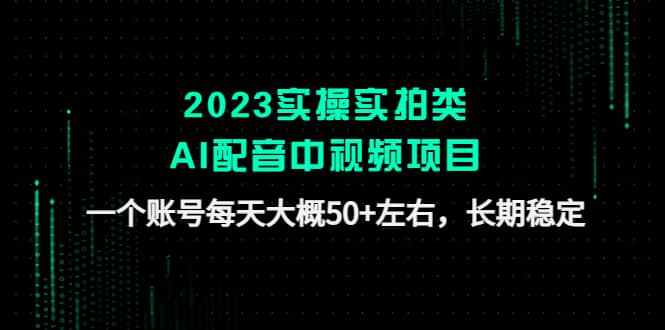 2023实操实拍类AI配音中视频项目，一个账号每天大概50+左右，长期稳定-时光资源网