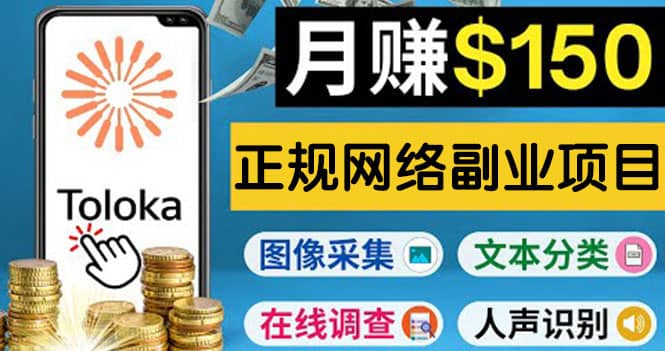 正规网络副业赚钱平台Toloka，利用业余时间月赚150美元-时光资源网