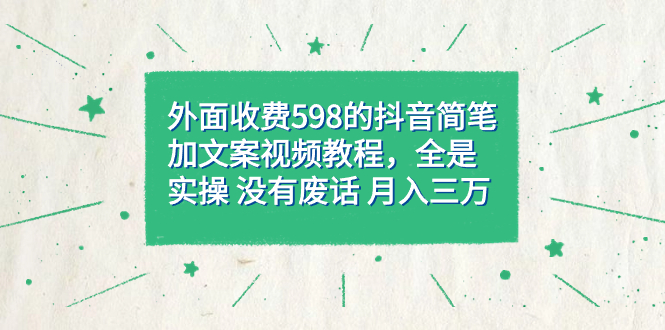 外面收费598抖音简笔加文案教程，全是实操 没有废话 月入三万（教程+资料）-时光资源网