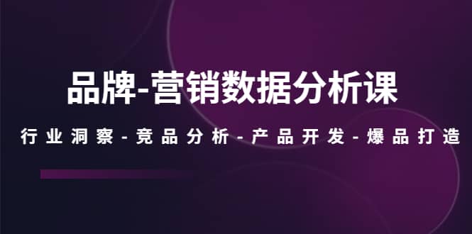 品牌-营销数据分析课，行业洞察-竞品分析-产品开发-爆品打造-时光资源网