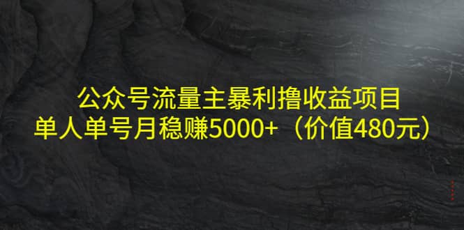 公众号流量主暴利撸收益项目，单人单号月稳赚5000+（价值480元）-时光资源网