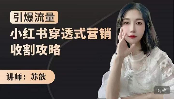 小红书穿透式营销收割攻略，引爆流量，助你玩转小红书-时光资源网