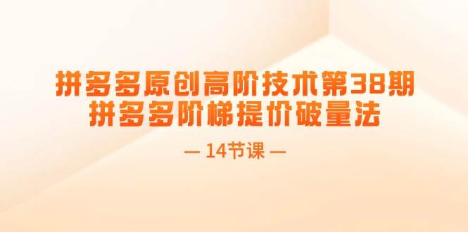 拼多多原创高阶技术第38期，拼多多阶梯提价破量法（14节课）-时光资源网