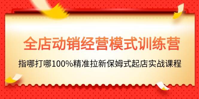 全店动销-经营模式训练营，指哪打哪100%精准拉新保姆式起店实战课程-时光资源网