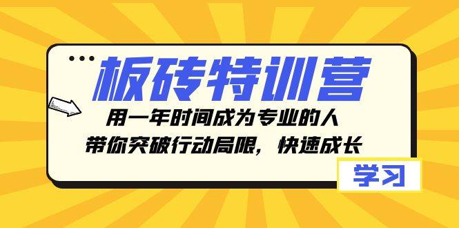 板砖特训营，用一年时间成为专业的人，带你突破行动局限，快速成长-时光资源网