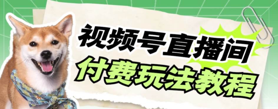 视频号美女付费无人直播，轻松日入500+【详细玩-时光资源网
