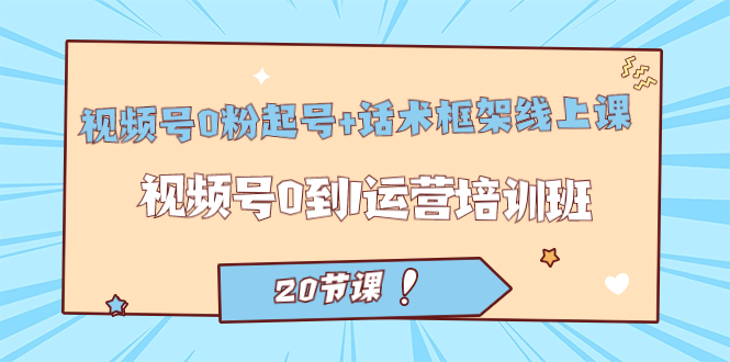 视频号·0粉起号+话术框架线上课：视频号0到1运营培训班（20节课）-时光资源网