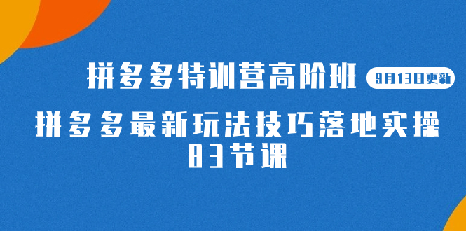 2023拼多多·特训营高阶班【9月13日更新】拼多多最新玩法技巧落地实操-83节-时光资源网