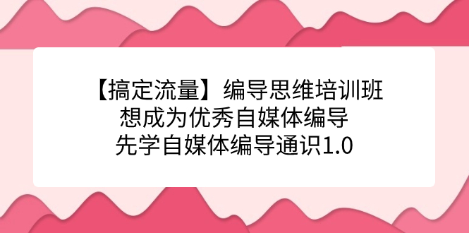 【搞定流量】编导思维培训班，想成为优秀自媒体编导先学自媒体编导通识1.0-时光资源网