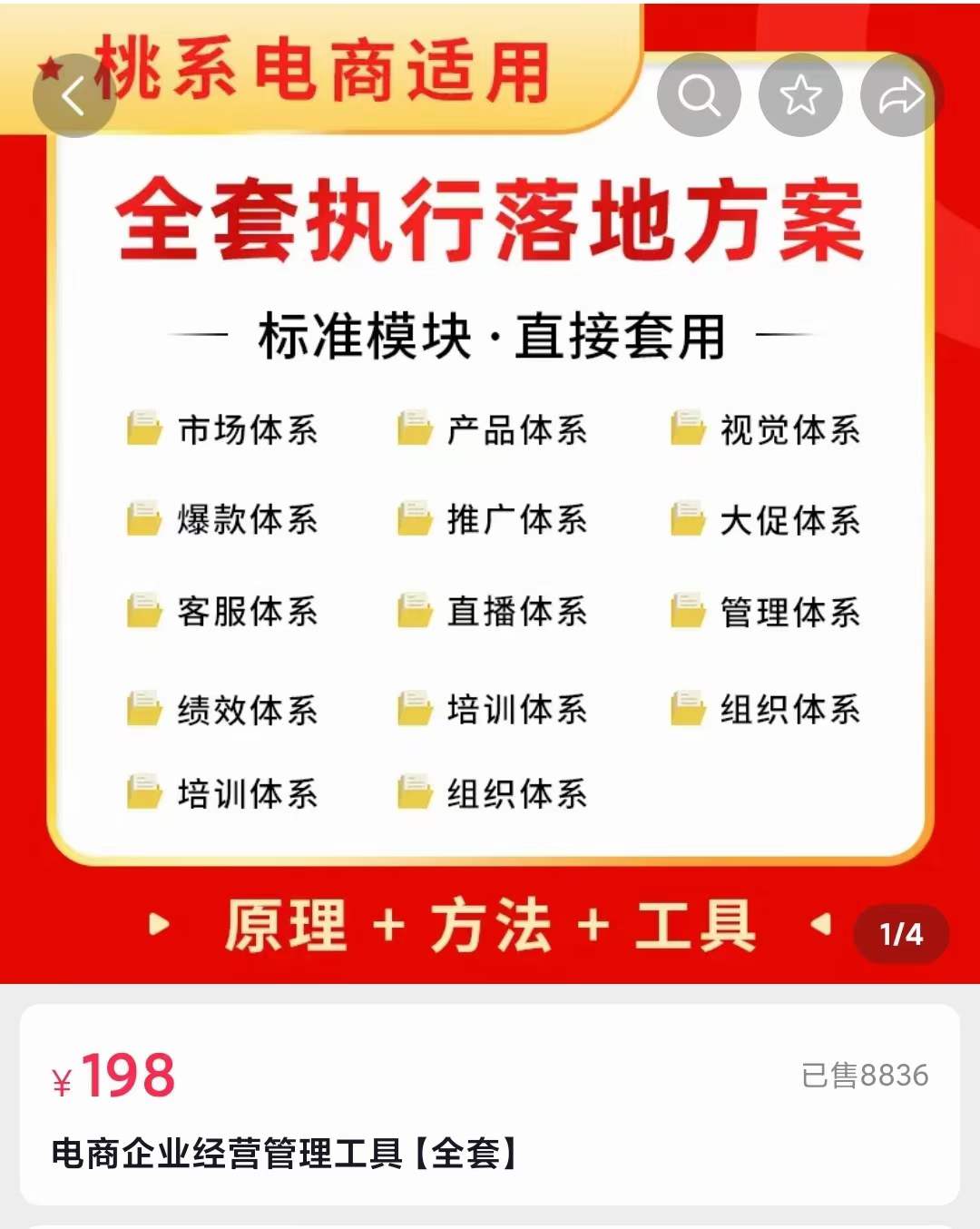 外面卖198·电商企业经营管理工具：全套执行落地方案 标准模块·直接套用-时光资源网