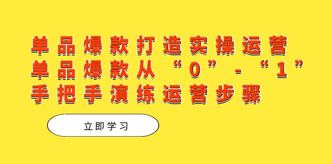 单品爆款打造实操运营，单品爆款从“0”-“1”手把手演练运营步骤-时光资源网