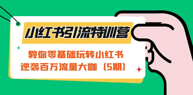 小红书引流特训营-第5期：教你零基础玩转小红书，逆袭百万流量大咖-时光资源网