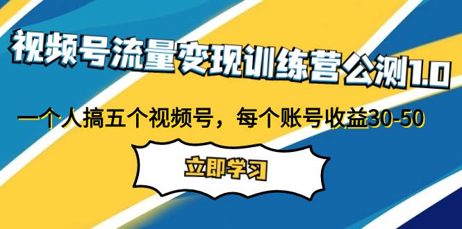 视频号流量变现训练营公测1.0：一个人搞五个视频号，每个账号收益30-50-时光资源网