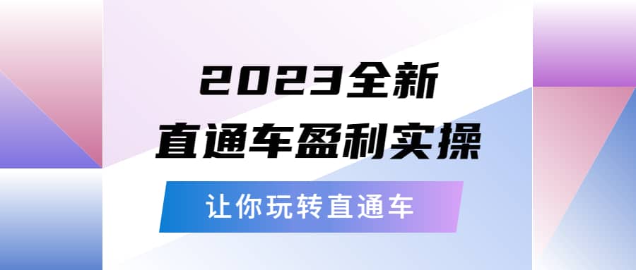 2023全新直通车·盈利实操：从底层，策略到搭建，让你玩转直通车-时光资源网