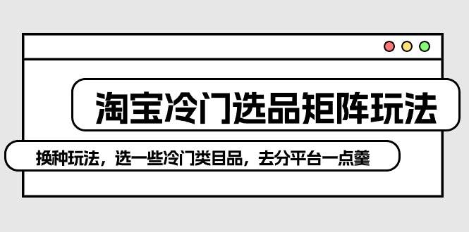 淘宝冷门选品矩阵玩法：换种玩法，选一些冷门类目品，去分平台一点羹-时光资源网