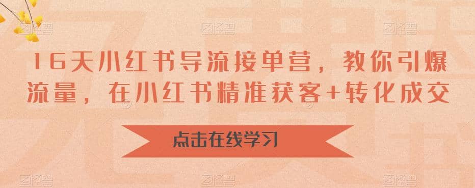 16天-小红书 导流接单营，教你引爆流量，在小红书精准获客+转化成交-时光资源网