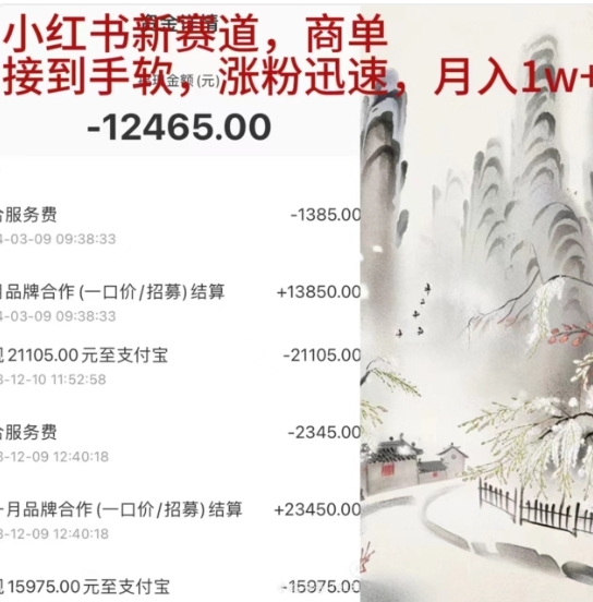 小红书新赛道，商单接到手软，涨粉迅速，一个月1w+-时光资源网
