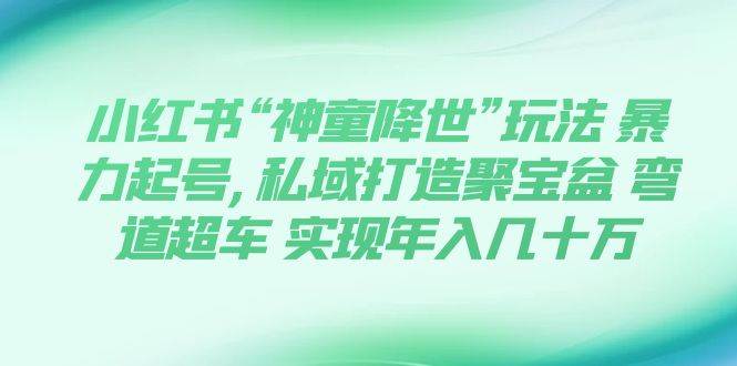 小红书“神童降世”玩法 暴力起号,私域打造聚宝盆 弯道超车 实现年入几十万-时光资源网