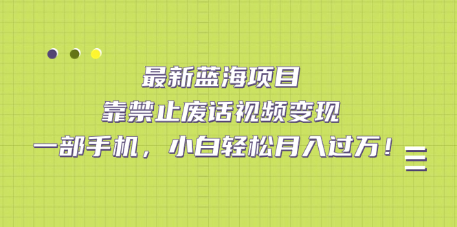 最新蓝海项目，靠禁止废话视频变现，一部手机，小白轻松月入过万！-时光资源网