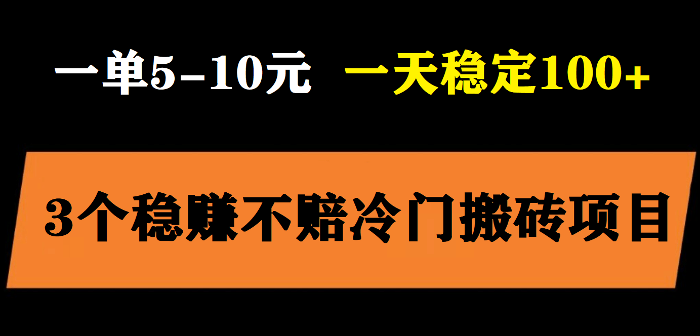 3个最新稳定的冷门搬砖项目，小白无脑照抄当日变现日入过百-时光资源网