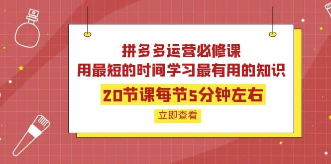 拼多多运营必修课：20节课每节5分钟左右，用最短的时间学习最有用的知识-时光资源网