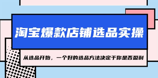 淘宝爆款店铺选品实操，2023从选品开始，一个好的选品方法决定于你是否盈利-时光资源网