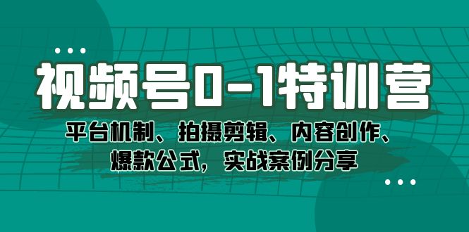 视频号0-1特训营：平台机制、拍摄剪辑、内容创作、爆款公式，实战案例分享-时光资源网