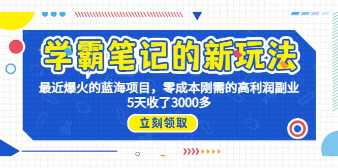 学霸笔记新玩法，最近爆火的蓝海项目，0成本高利润副业，5天收了3000多-时光资源网