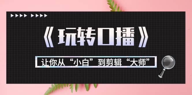 月营业额700万+大佬教您《玩转口播》让你从“小白”到剪辑“大师”-时光资源网