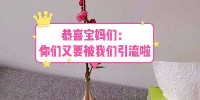 恭喜宝妈们：你们又要被我们引流了（教程+222g资料）-时光资源网