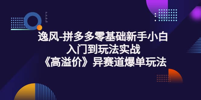 拼多多零基础新手小白入门到玩法实战《高溢价》异赛道爆单玩法实操课-时光资源网