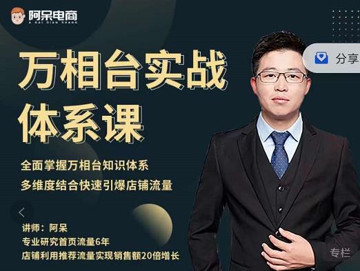 阿呆-万相台实战体系课，帮您全面掌握万相台知识体系-时光资源网