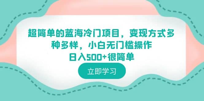 超简单的蓝海冷门项目，变现方式多种多样，小白无门槛操作日入500+很简单-时光资源网