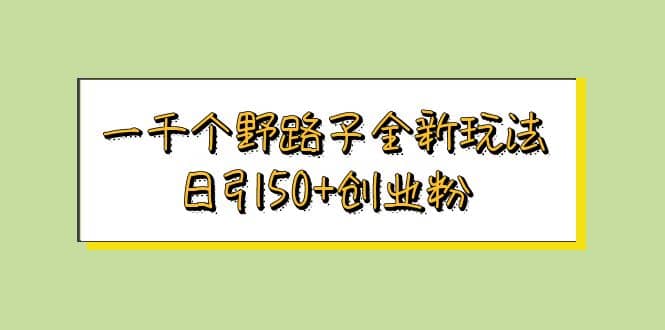 一千个野路子全新玩法 日引50+创业粉-时光资源网