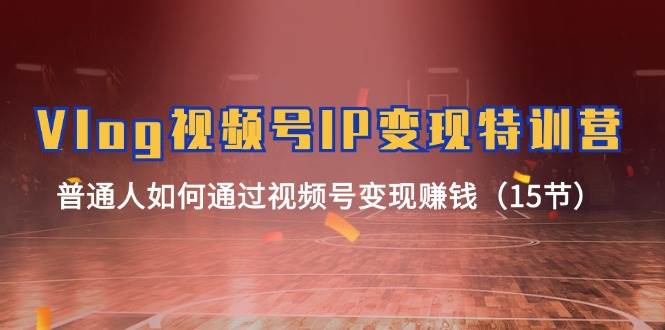 Vlog 视频号IP变现特训营，普通人如何通过视频号变现赚钱（15节）-时光资源网