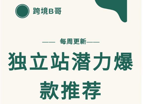 【跨境B哥】独立站潜力爆款选品推荐，测款出单率高达百分之80（每周更新）-时光资源网