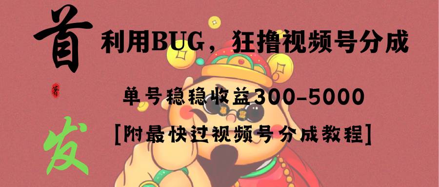 全网独家首发，视频号BUG，超短期项目，单号每日净收益300-5000！-时光资源网