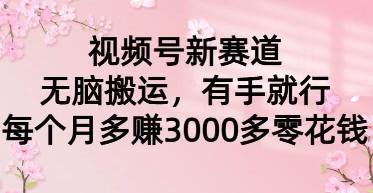 视频号新赛道，无脑搬运，有手就行，每个月多赚3000多零花钱-时光资源网
