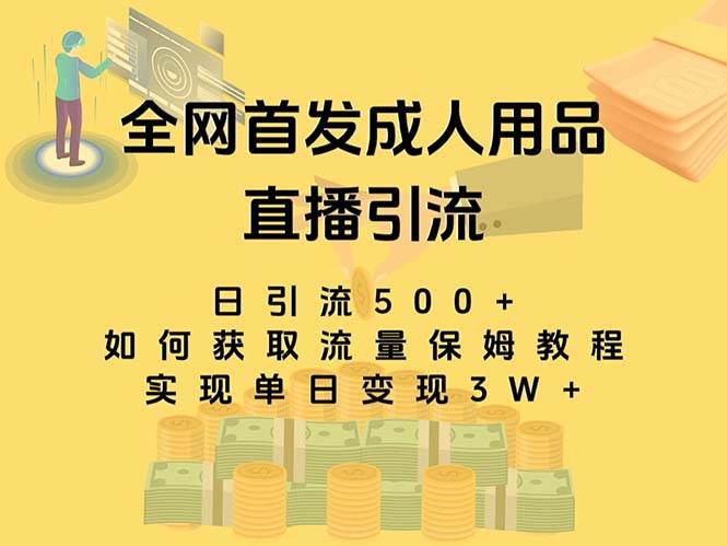 最新全网独创首发，成人用品直播引流获客暴力玩法，单日变现3w保姆级教程-时光资源网