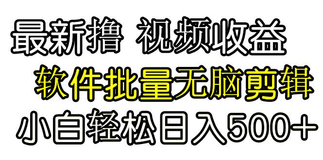 发视频撸收益，软件无脑批量剪辑，第一天发第二天就有钱-时光资源网