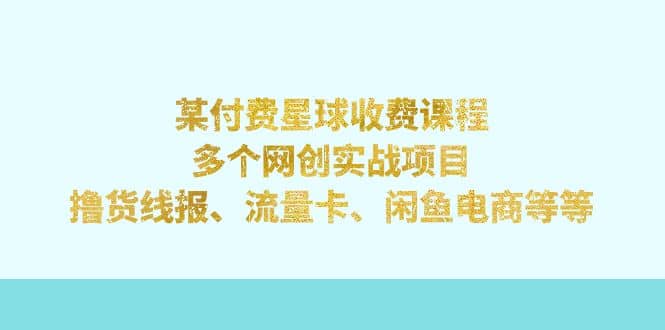 某付费星球课程：多个网创实战项目，撸货线报、流量卡、闲鱼电商等等-时光资源网