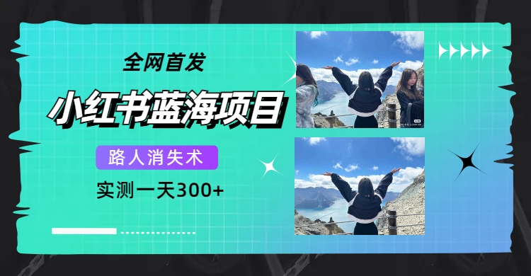 全网首发，小红书蓝海项目，路人消失术，实测一天300+（教程+工具）-时光资源网