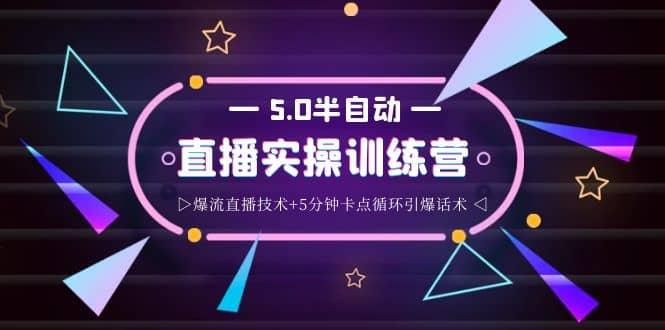 蚂蚁·5.0半自动直播2345打法，半自动爆流直播技术+5分钟卡点循环引爆话术-时光资源网